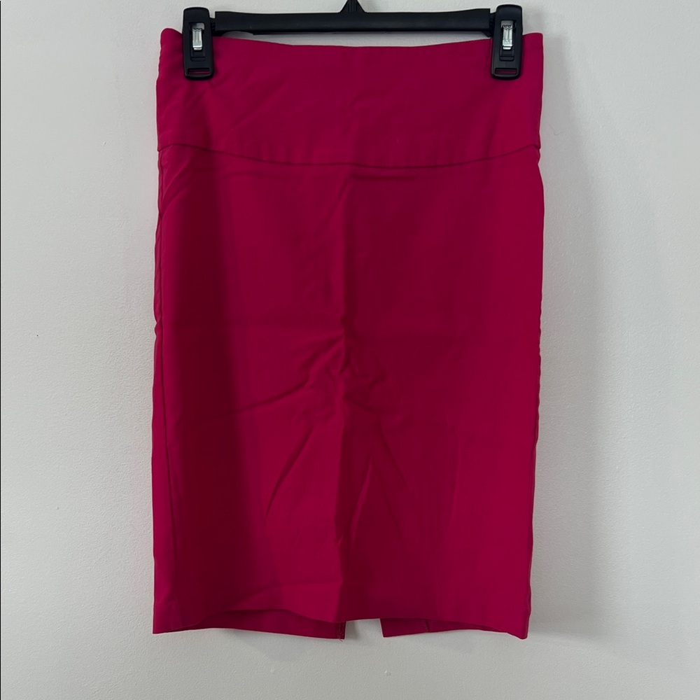 Elegant Pink Women's Skirt